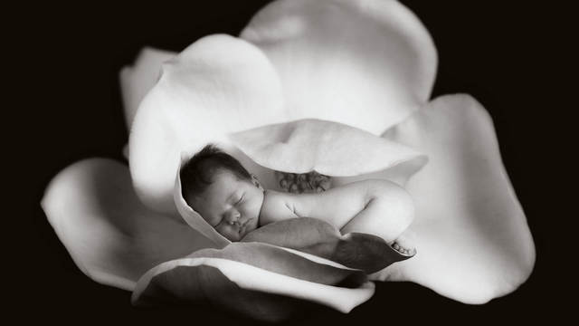 Newborn Shoot 1: Jeremiah from DIY Mother's Day Card Photography Class |  CreativeLive
