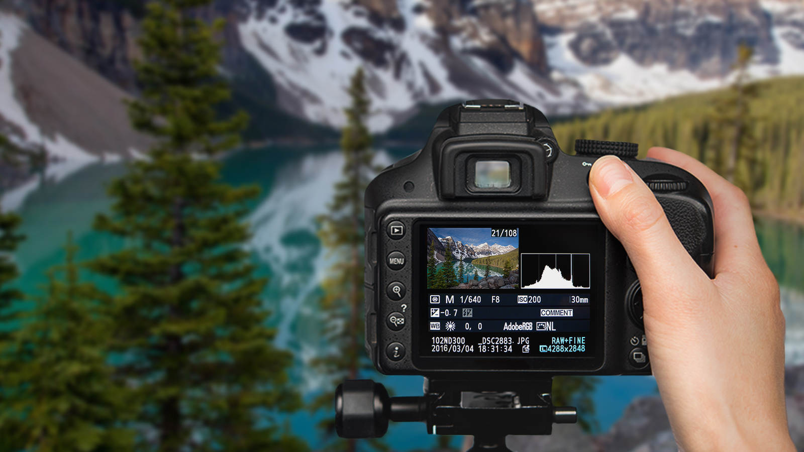 The 17 Best Online Photography Courses For All Skill Levels Reviewed Justin Katz Photography