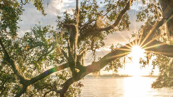 photography lessons online photography lessons online
