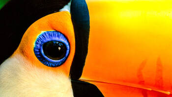 photography lessons online photography lessons online