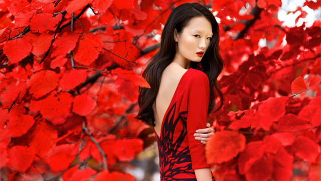 www.creativelive.com