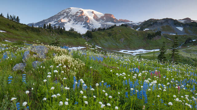 Nature and Landscape Photography with John Greengo