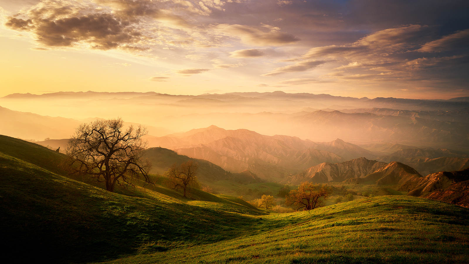 Landscape Photography Course with Marc Muench 