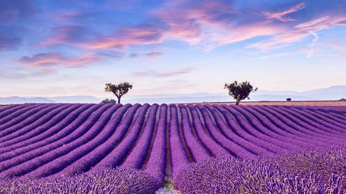 why internet dating is harmful