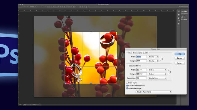 Image Sizing and Cropping in Photoshop | CreativeLive